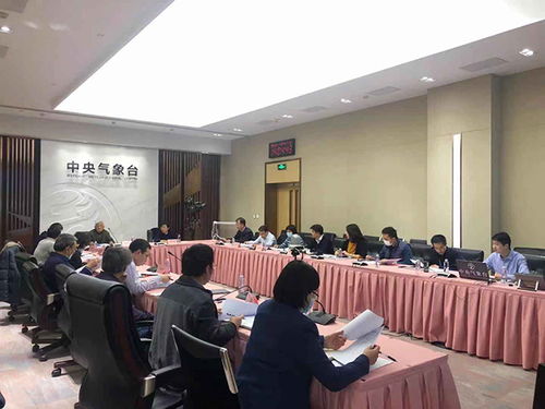 深圳超大城市精細化智能化預報服務頂層設計專家咨詢會在京召開